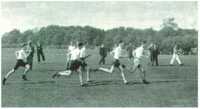 oz312435.jpg