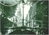 oz312558.jpg