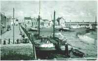 oz312611.jpg