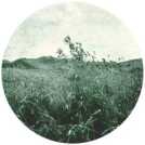 oz312654.jpg