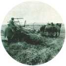 oz312655.jpg