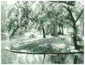 oz312727.jpg