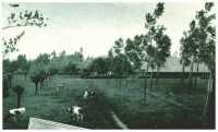 oz312803.jpg