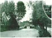 oz312820.jpg