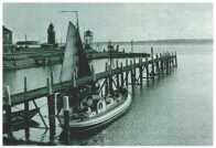 oz312944.jpg