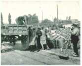 oz312956.jpg