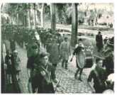 oz312959.jpg