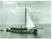 oz313113.jpg
