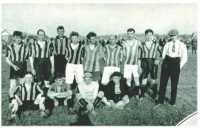 oz313130.jpg
