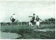 oz313132.jpg