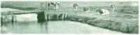 oz313215.jpg