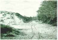 oz313216.jpg