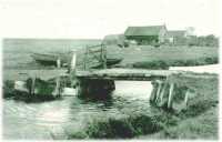 oz313217.jpg