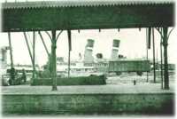 oz313221.jpg