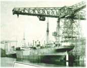 oz313226.jpg