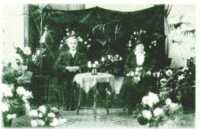 oz313227.jpg