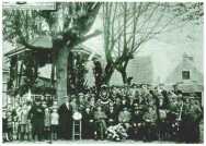 oz313323.jpg
