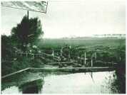 oz313328.jpg
