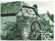 oz313333.jpg