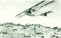 oz313374.jpg