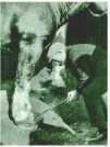 oz313420.jpg