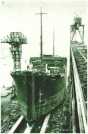 oz313507.jpg