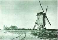 oz313533.jpg