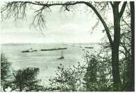 oz313642.jpg