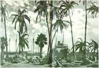 oz313643.jpg