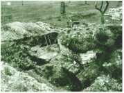 oz313666.jpg