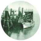 oz313726.jpg