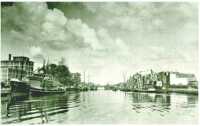oz313732.jpg