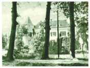 oz313739.jpg