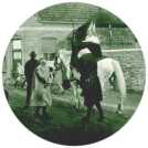 oz313811.jpg
