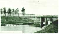 oz313874.jpg