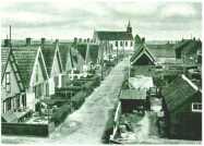 oz313925.jpg