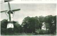 oz314014.jpg