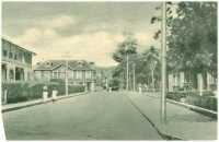 oz314034.jpg