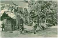 oz314035.jpg