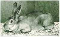 oz314055.jpg