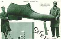 oz314129.jpg