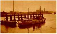oz314415.jpg