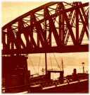 oz314627.jpg