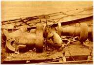 oz314716.jpg