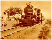 oz314737.jpg