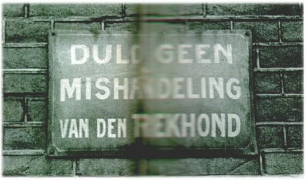 Klik voor de volgende foto