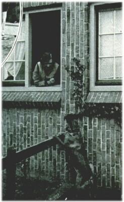 Klik voor de volgende foto