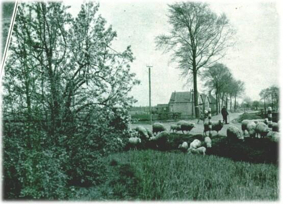 Klik voor de volgende foto
