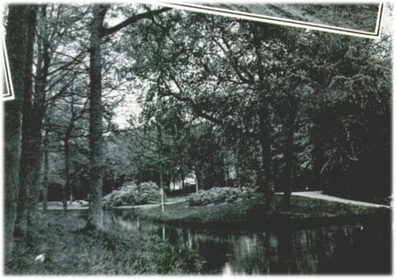Klik voor de volgende foto
