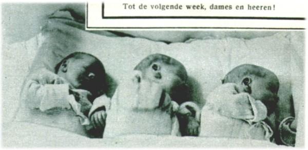 Klik voor de volgende foto